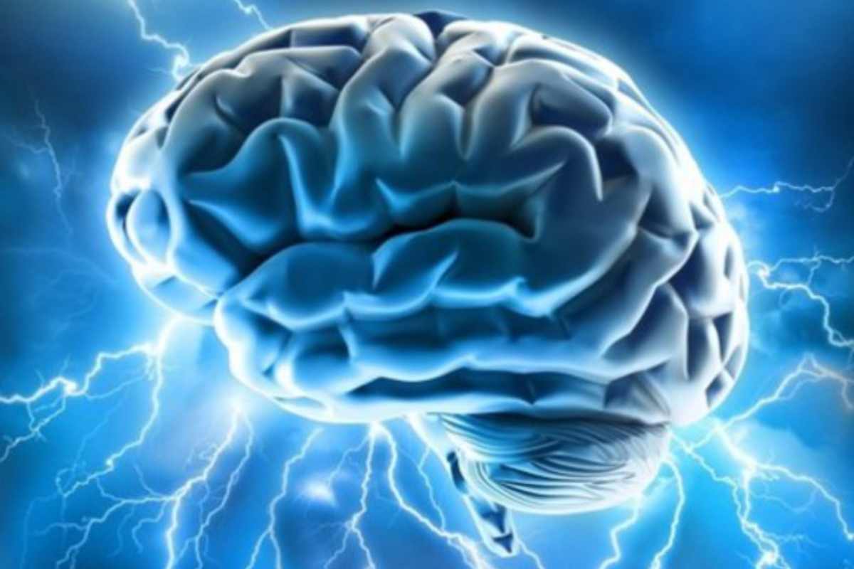 Essere grassi danneggia il cervello