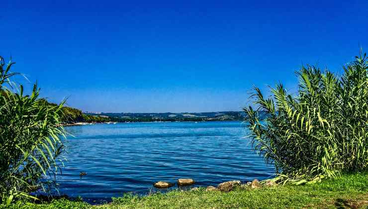 Lago di Bolsena, natura intatta